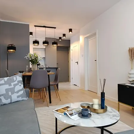 Апартаменты Panorama Premium Plac Jana Z Glogowa 2 Глогов